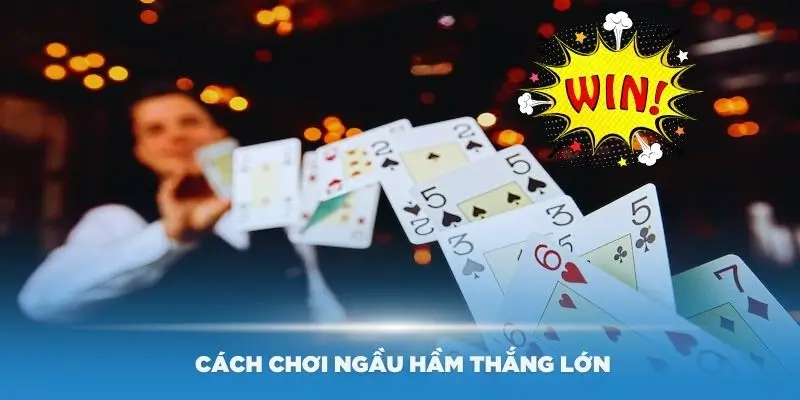 Hướng Dẫn Đánh Bài Ngầu Hầm Cơ Bản Dành Cho Người Mới